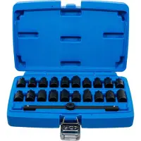 Bgs Voertuig gereedschap, Olieleidingsleutelset - 21 stuks (1014)