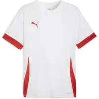 Puma Functioneel shirt 'TeamGoal Matchday' rood / wit