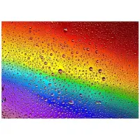 Enjoy Rainbow Drops Puzzel 1000 Stukjes