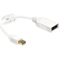 DeLOCK 65427 DisplayPort Adapter [1x Mini-DisplayPort stekker - 1x DisplayPort bus] Wit Met Ferrietkern 0.21 m
