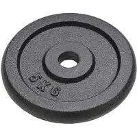 vidaXL Halterschijven 4 st 4x5 kg gietijzer