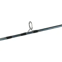 Shimano Fishing Tx-1b Carpfishing Rod Zilver 3.05 m / 3.00 Lbs