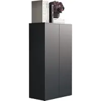 VCM Dalosa3 dressoir 2 deuren antraciet.
