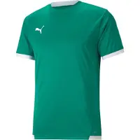 Puma Functioneel shirt 'TeamLIGA' smaragd / wit