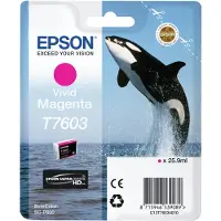 Epson T7603 (C13T76034010) Inktcartridge Vivid magenta