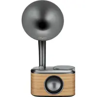 Sangean Radio DAB+ CP100DBG