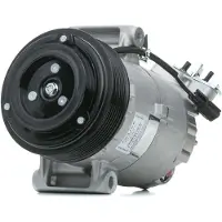 Delphi TSP0155928 Aircopomp