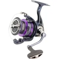 Daiwa Prorex X 24 Lt Spinning Reel Zilver 4000C