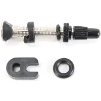Sram Tubeless valve universal - ZWART