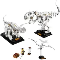 LEGO Ideas Dinosaur Skeletons 21320 Construction Toy Transparant