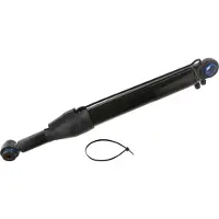 FEBI BILSTEIN Kantelcilinder, cabine 31869