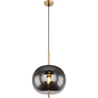 Globo Gouden hanglamp Blacky I enkel Ø 30cm