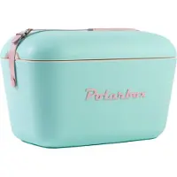 Polarbox Koelbox Pastelgroen 20L