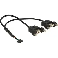 DeLOCK Pin header naar USB A kabel -