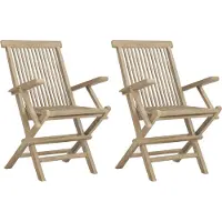 vidaXL Klapstoelen, 2 stuks, grijs, 56 x 61 x 89 cm, massief teakhout