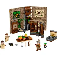LEGO 76384 LEGO Harry Potter Zweinstein Moment - Herbologieles