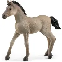 Schleich Horse Club Paarden 2022 Realistisch paardenspeelgoed voor meisjes en jongens Criollo Definitivo Veulen Babypaardenfiguurtje Leeftijd 5+
