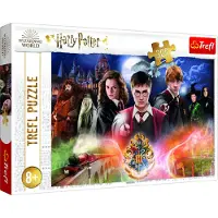 Trefl Harry Potter puzzel - 300 stukjes - legpuzzel film.