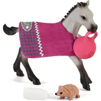 Schleich HORSE CLUB - Spelplezier met veulen - Speelfigurenset - Kinderspeelgoed voor Jongens en Meisjes - 5 tot 12 jaar - 42534