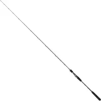 Sakura Ryokan Sw Casting Jigging Rod Zilver 1.90 m / 50-150 g