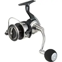 Daiwa 24 Certate SW