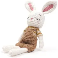 Graine Créative Haakpakket Konijn | Schattige Knuffeltjes | Haakkit Konijn | Speelgoed | Baby Cadeau | Kraamcadeau | Haken | Amigurumi pakket | Kerst Cadeau