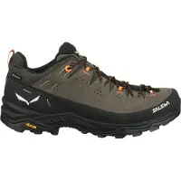 Salewa - Alp Trainer 2 GTX - Multisportschoenen 46, zwart/bruin