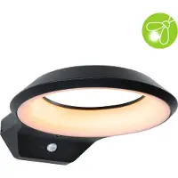 Paulmann Anela 94837 LED-wandlamp LED vast ingebouwd 12 W LED Antraciet