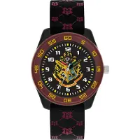 Disney Harry Potter Time Teacher