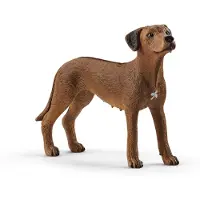 Schleich FARM WORLD - Rhodesische ridgeback - 13895