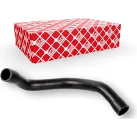 FEBI BILSTEIN 174412 Radiateurslang