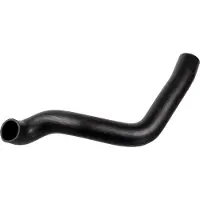 FEBI BILSTEIN Radiateurslang 174432