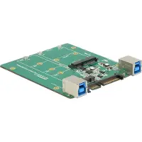 DeLOCK 62732 Intern M.2,mSATA