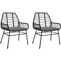 vidaXL Tuinstoelen 2 st met kussens poly rattan zwart