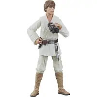 Hasbro Star Wars, The Black Series, Luke Skywalker, maat 4 (of 4 jaar), meerkleurig