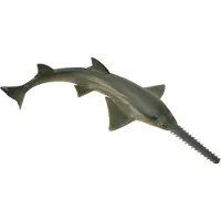 Collecta Figurine - Zaagvis - (M) - Zeedieren - Handgeschilderd - Miniatuur