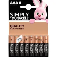 Duracell AAA Batterijen