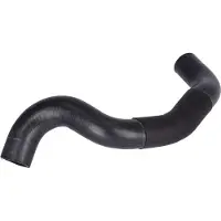 FEBI BILSTEIN 181184 Radiateurslang