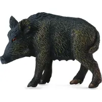 Collecta WILD ZWIJN - ZEUG (M)