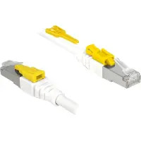 DeLOCK 85331 RJ45 Netwerkkabel, patchkabel CAT 6A S/FTP 1.00 m Wit 1 stuk(s)