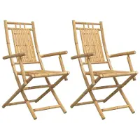 vidaXL Tuinstoelen 2 st inklapbaar 53x66x99 bamboe