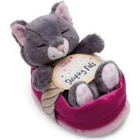 Nici Kat Slaapt In Mand Met Teddybeer 12 Cm Roze