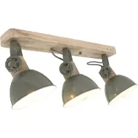Steinhauer Plafondspot Gearwood Groen