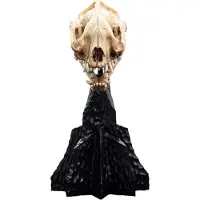 Weta Workshop Lord Of The Rings Mini Skull Of A Warg 20 Cm Figuur