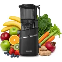 4Swiss Slow Juicer WB025, 250 W, Reverse-functie, XXL-opening, EasyClean, 37 omw/min, Graphite