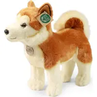 Rappa ECO knuffel Akita Inu 30 cm - realistische knuffel van recyclede PET flessen - bruin, creme