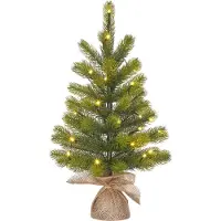 Black Box Trees Kunstkerstboom 60 cm | Nagoya | 25 lampjes | 50 Tips |
