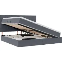 vidaXL LED opbergbed met matras Donkergrijs 200 x 200 cm Fluweel