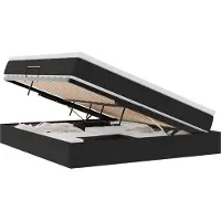 vidaXL Opbergbed met matras met opslag Zwart 160 x 200 cm Fluweel