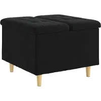 vidaXL Ottoman met opslag Zwart 60 x 60 x 45 cm Fluweel